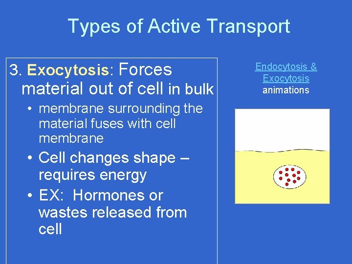 Types of Active Transport 3. Exocytosis: Forces material out of cell in bulk •