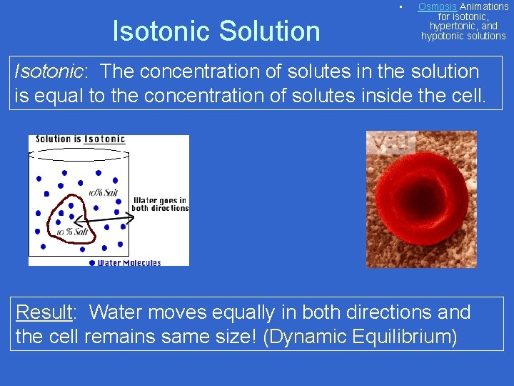  • Isotonic Solution Osmosis Animations for isotonic, hypertonic, and hypotonic solutions Isotonic: The