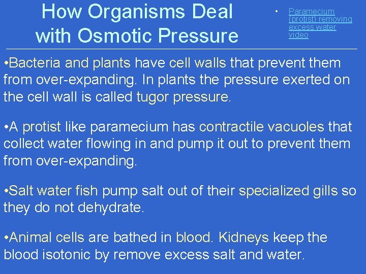 How Organisms Deal with Osmotic Pressure • Paramecium (protist) removing excess water video •