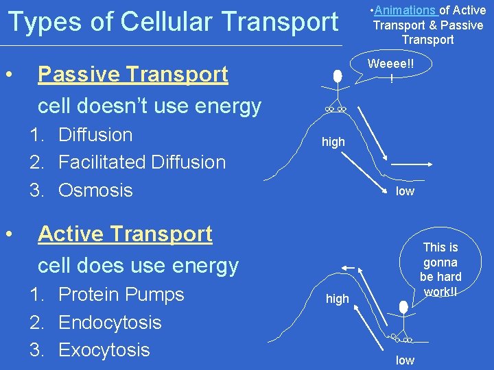 Types of Cellular Transport • Animations of Active Transport & Passive Transport • Weeee!!