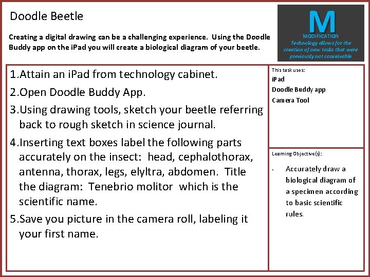 M Doodle Beetle Creating a digital drawing can be a challenging experience. Using the