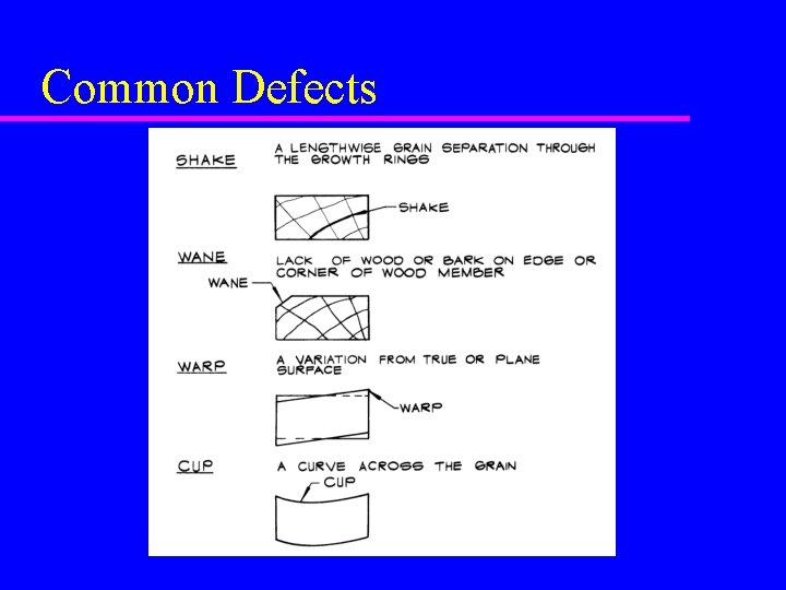 Common Defects 