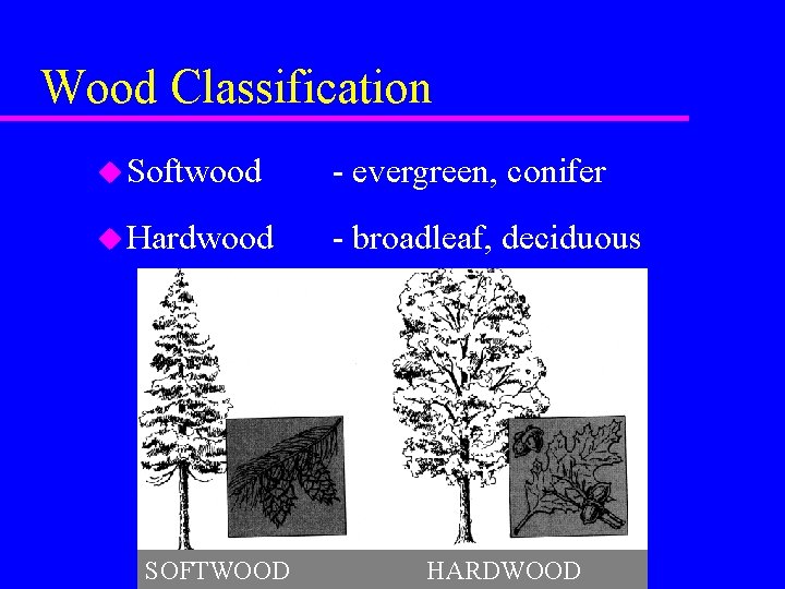 Wood Classification u Softwood - evergreen, conifer u Hardwood - broadleaf, deciduous SOFTWOOD HARDWOOD