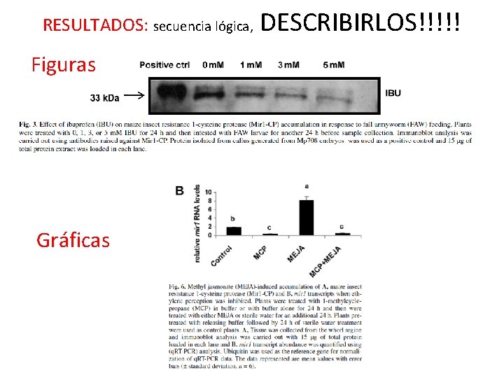 RESULTADOS: secuencia lógica, Figuras Gráficas DESCRIBIRLOS!!!!! 