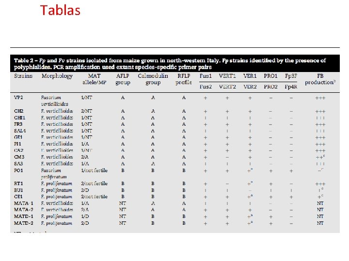 Tablas 