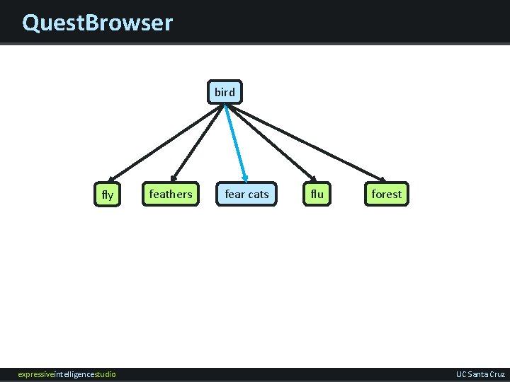 Quest. Browser bird fly expressiveintelligencestudio feathers fear cats flu forest UC Santa Cruz 