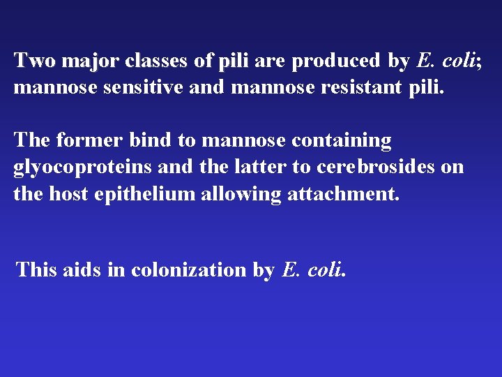 Two major classes of pili are produced by E. coli; mannose sensitive and mannose Two major classes of pili are produced by E. coli; mannose sensitive and mannose