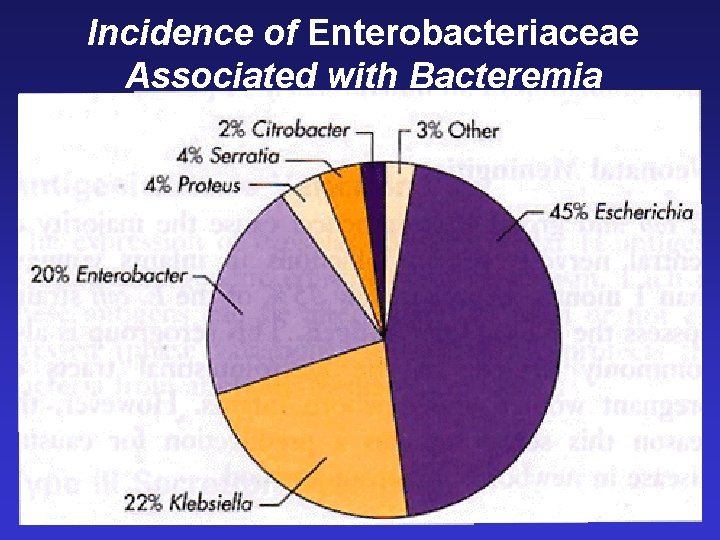 Incidence of Enterobacteriaceae Associated with Bacteremia 