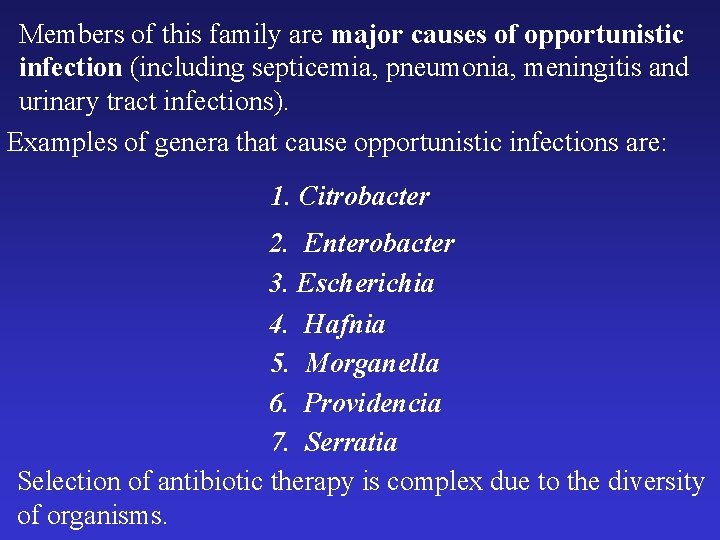 Members of this family are major causes of opportunistic infection (including septicemia, pneumonia, meningitis