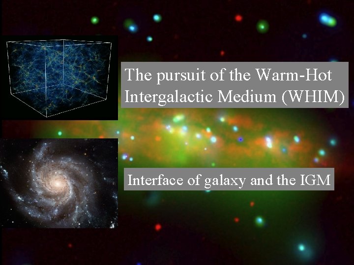 The pursuit of the Warm-Hot Intergalactic Medium (WHIM) Interface of galaxy and the IGM