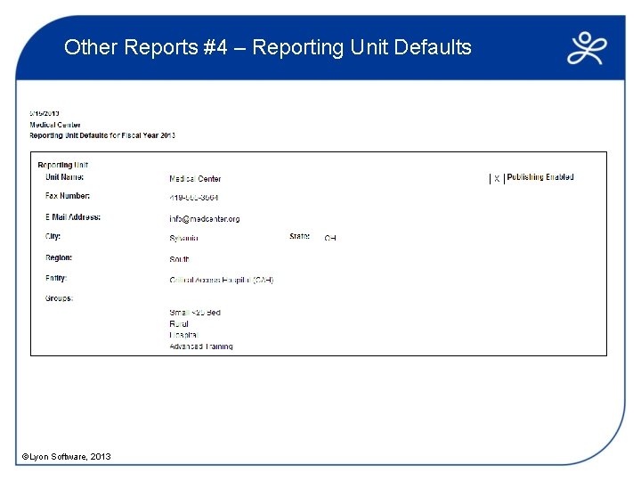 Other Reports #4 – Reporting Unit Defaults ©Lyon Software, 2013 