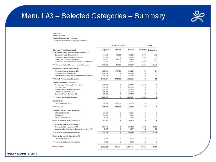 Menu I #3 – Selected Categories – Summary ©Lyon Software, 2013 