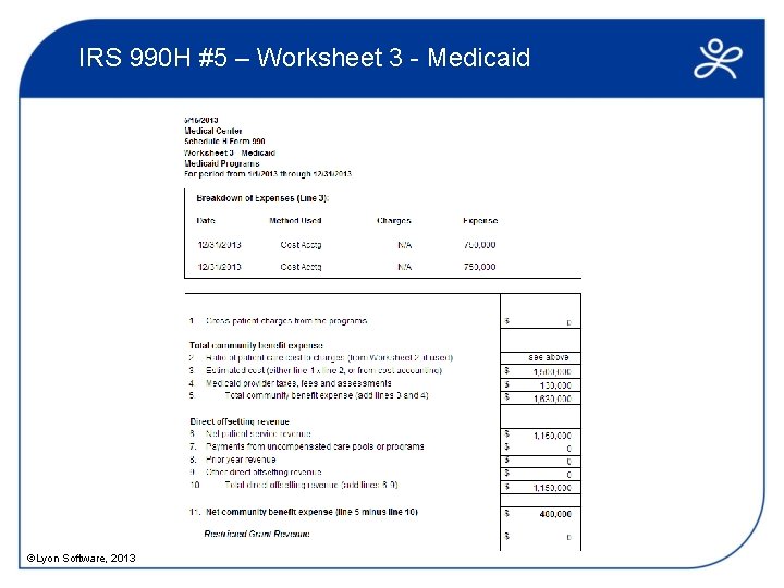 IRS 990 H #5 – Worksheet 3 - Medicaid ©Lyon Software, 2013 