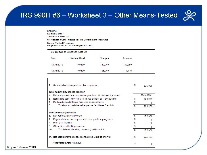 IRS 990 H #6 – Worksheet 3 – Other Means-Tested ©Lyon Software, 2013 