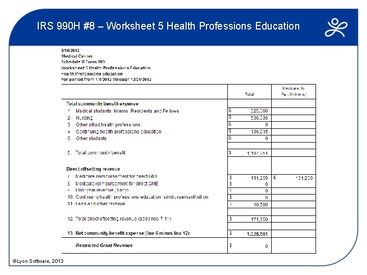 IRS 990 H #8 – Worksheet 5 Health Professions Education ©Lyon Software, 2013 