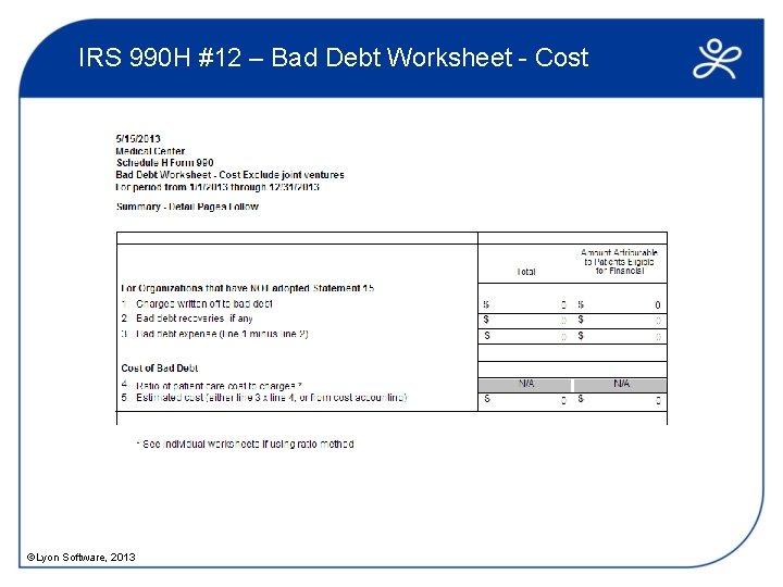 IRS 990 H #12 – Bad Debt Worksheet - Cost ©Lyon Software, 2013 