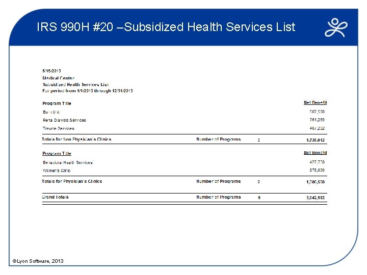 IRS 990 H #20 –Subsidized Health Services List ©Lyon Software, 2013 
