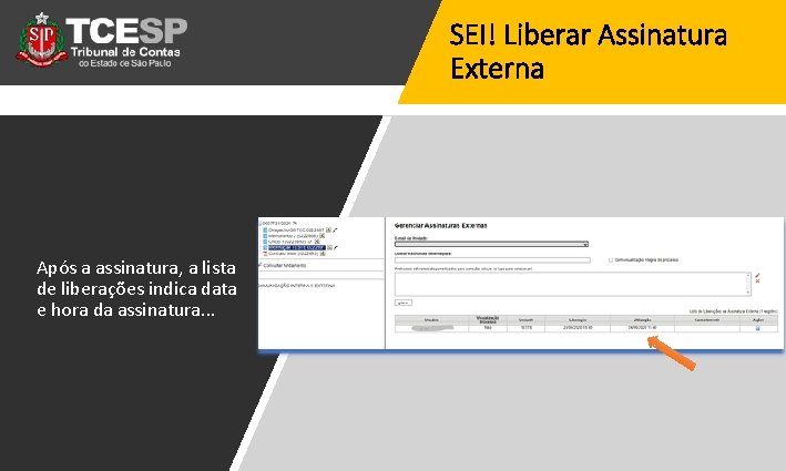 SEI! Liberar Assinatura Externa Após a assinatura, a lista de liberações indica data e