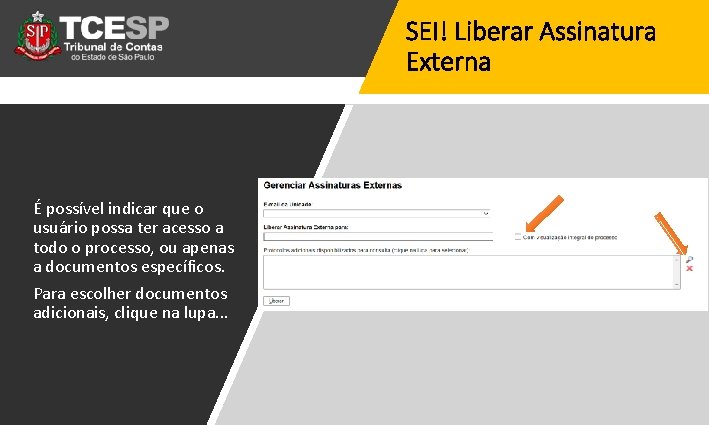 SEI! Liberar Assinatura Externa É possível indicar que o usuário possa ter acesso a