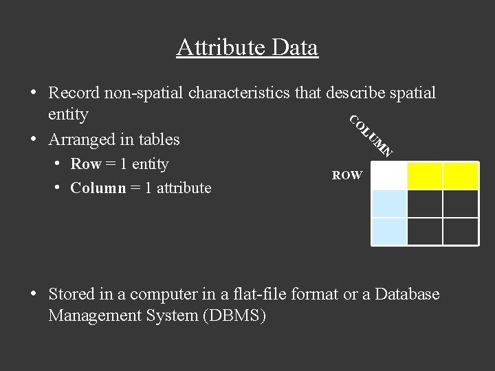 Attribute Data • Row = 1 entity • Column = 1 attribute N M Attribute Data • Row = 1 entity • Column = 1 attribute N M