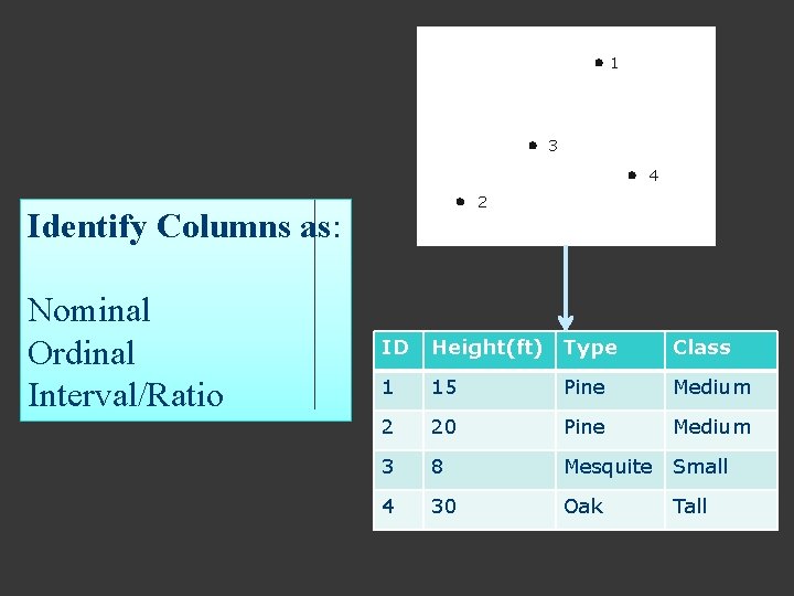 1 3 4 2 Identify Columns as: Nominal Ordinal Interval/Ratio ID Height(ft) Type Class 1 3 4 2 Identify Columns as: Nominal Ordinal Interval/Ratio ID Height(ft) Type Class