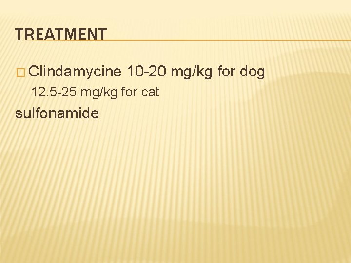 TREATMENT � Clindamycine 10 -20 mg/kg for dog 12. 5 -25 mg/kg for cat