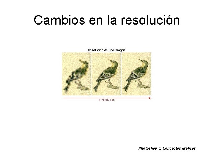 Cambios en la resolución Photoshop : : Conceptos gráficos 