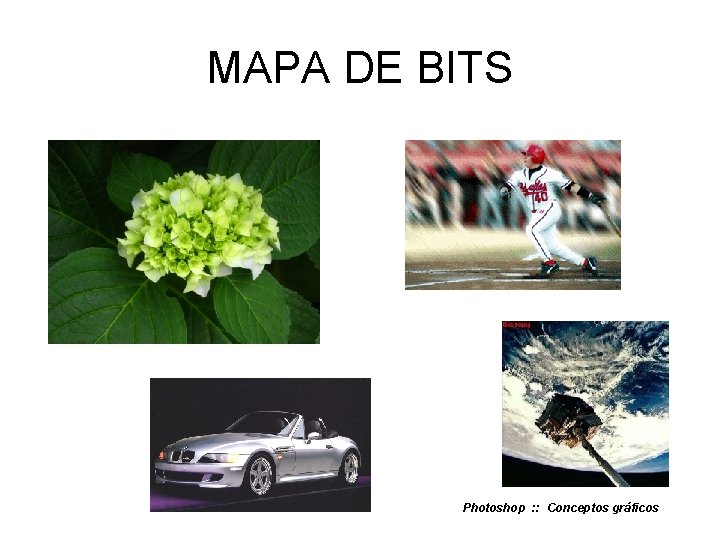 MAPA DE BITS Photoshop : : Conceptos gráficos 
