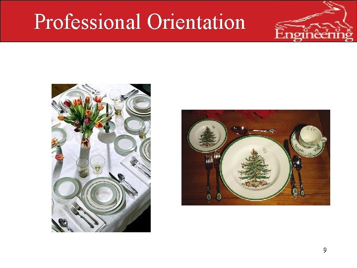 Professional Orientation UNIVERSITY OF FLORIDA 9 