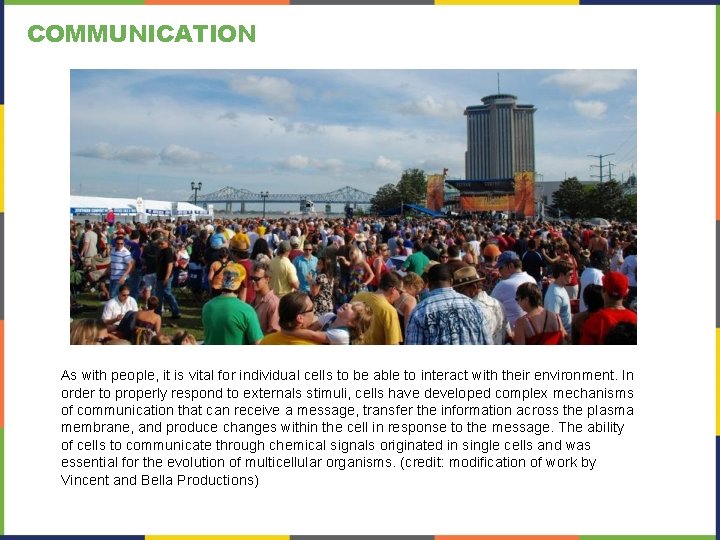 COMMUNICATION As with people, it is vital for individual cells to be able to