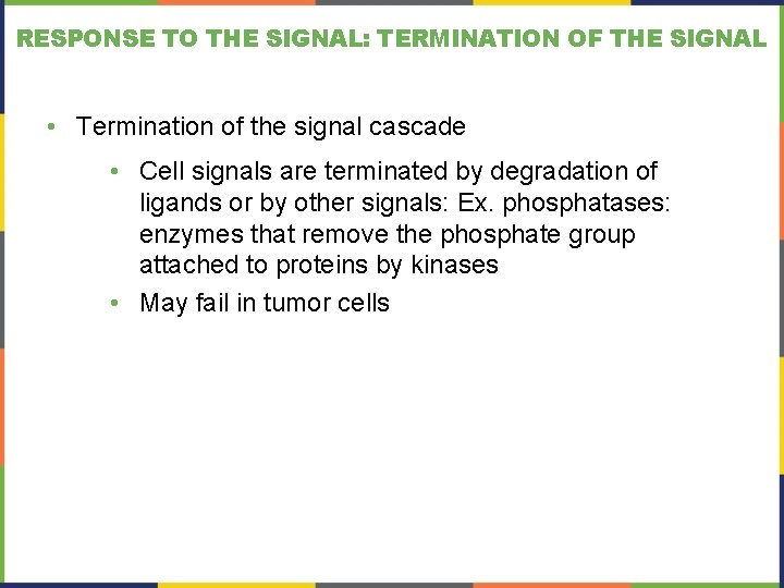 RESPONSE TO THE SIGNAL: TERMINATION OF THE SIGNAL • Termination of the signal cascade