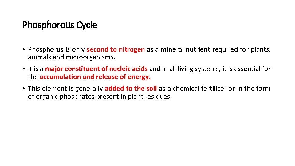 Phosphorous Cycle • Phosphorus is only second to nitrogen as a mineral nutrient required