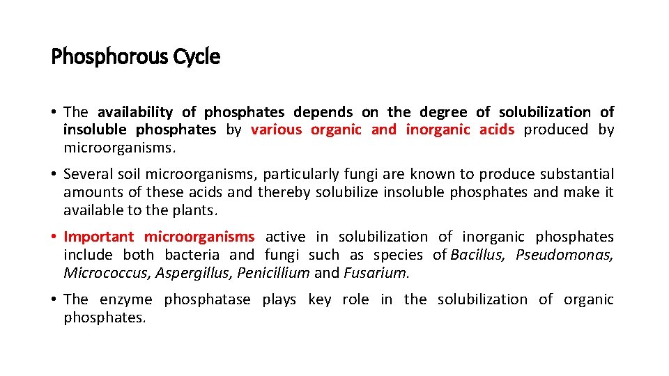 Phosphorous Cycle • The availability of phosphates depends on the degree of solubilization of