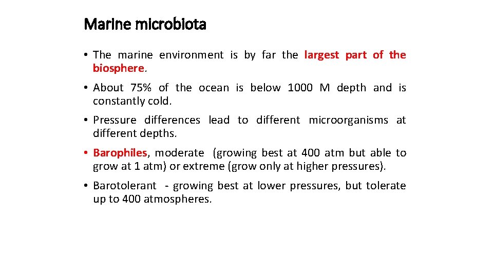 Marine microbiota • The marine environment is by far the largest part of the