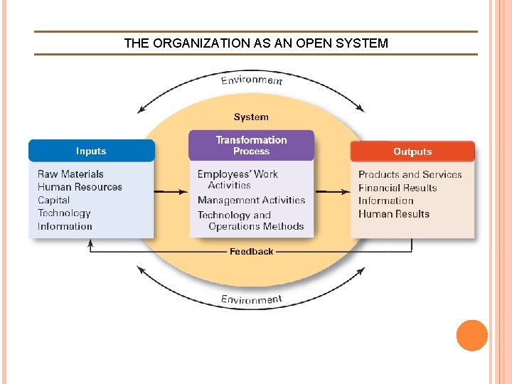 THE ORGANIZATION AS AN OPEN SYSTEM  THE ORGANIZATION AS AN OPEN SYSTEM