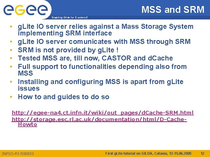 MSS and SRM Enabling Grids for E-scienc. E • g. Lite IO server relies