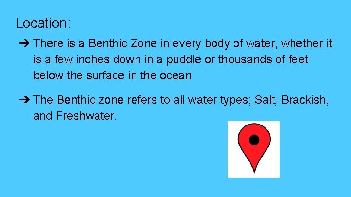 Location: ➔ There is a Benthic Zone in every body of water, whether it