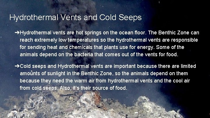 Hydrothermal Vents and Cold Seeps ➔Hydrothermal vents are hot springs on the ocean floor.