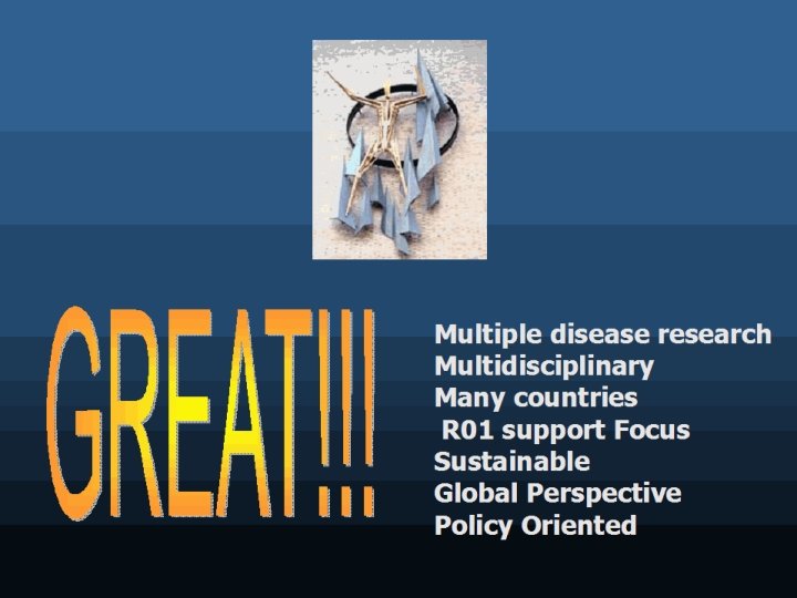 Multiple disease research Multidisciplinary Many countries R 01 support Focus Sustainable Global Perspective Policy