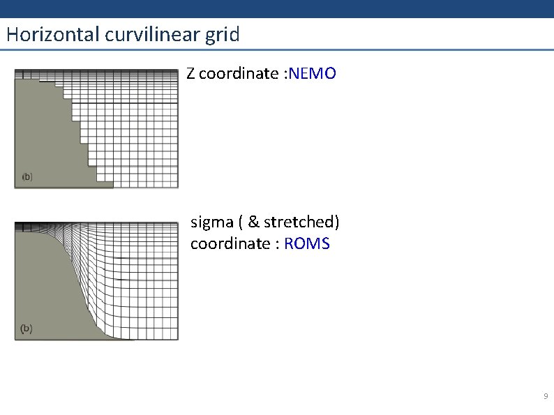 Horizontal curvilinear grid Z coordinate : NEMO sigma ( & stretched) coordinate : ROMS
