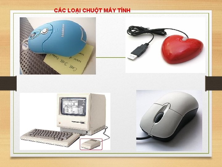 CÁC LOẠI CHUỘT MÁY TÍNH 