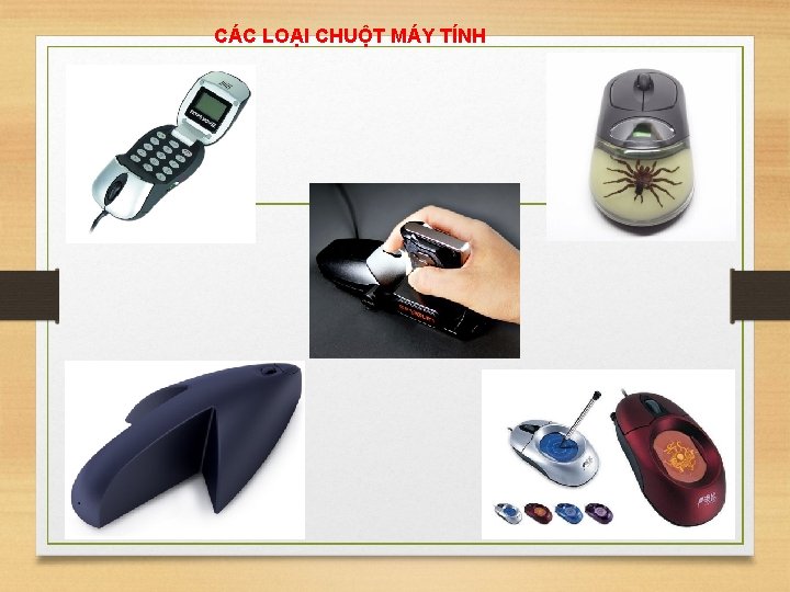 CÁC LOẠI CHUỘT MÁY TÍNH 