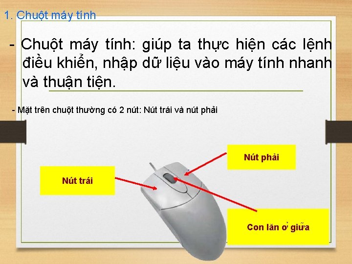 1. Chuột máy tính - Chuột máy tính: giúp ta thực hiện các lệnh