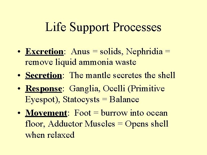 Life Support Processes • Excretion: Anus = solids, Nephridia = remove liquid ammonia waste