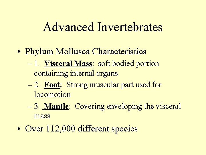 Advanced Invertebrates • Phylum Mollusca Characteristics – 1. Visceral Mass: soft bodied portion containing