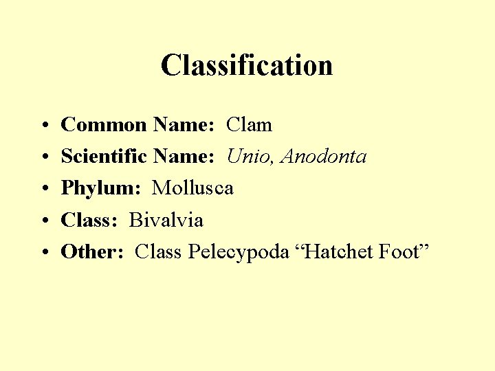 Classification • • • Common Name: Clam Scientific Name: Unio, Anodonta Phylum: Mollusca Class: