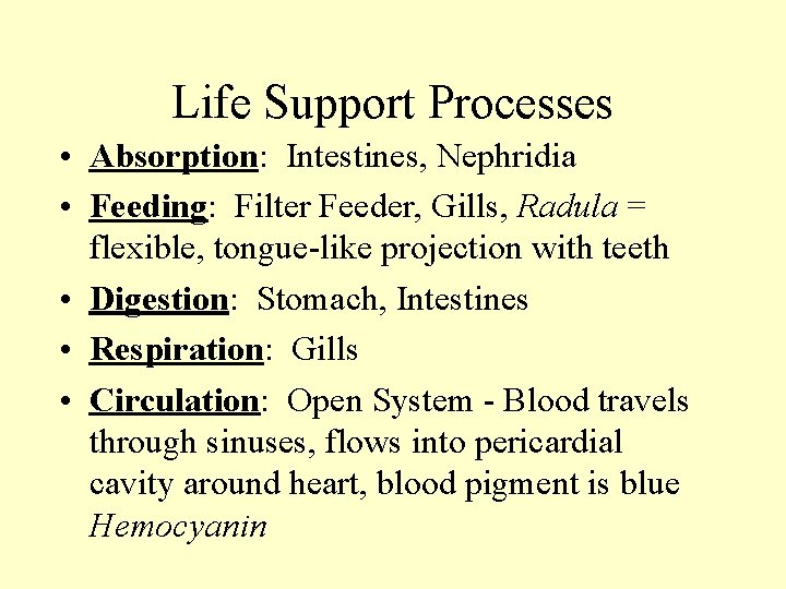 Life Support Processes • Absorption: Intestines, Nephridia • Feeding: Filter Feeder, Gills, Radula =