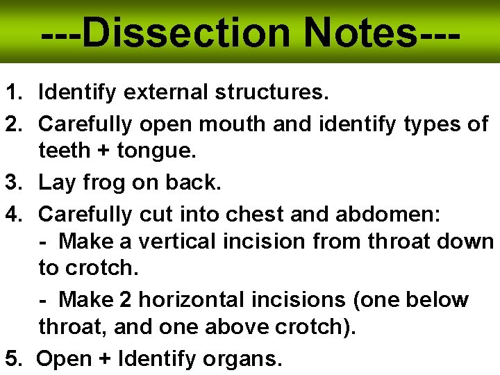---Dissection Notes--1. Identify external structures. 2. Carefully open mouth and identify types of teeth