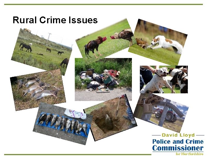 Rural Crime Issues 