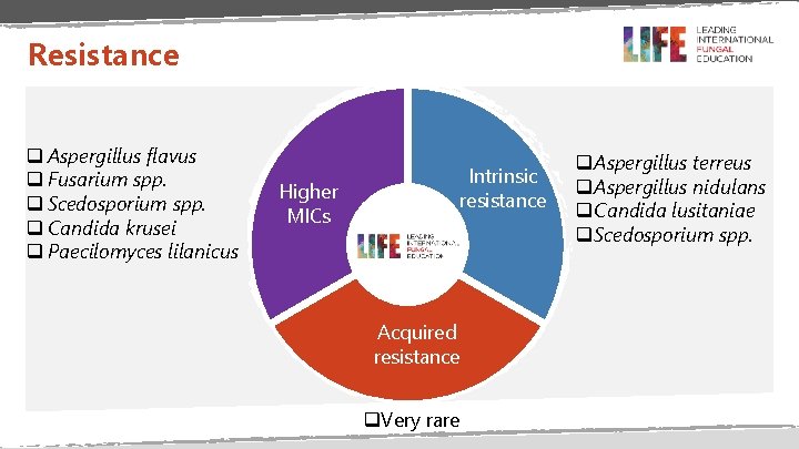 Resistance q Aspergillus flavus q Fusarium spp. q Scedosporium spp. q Candida krusei q